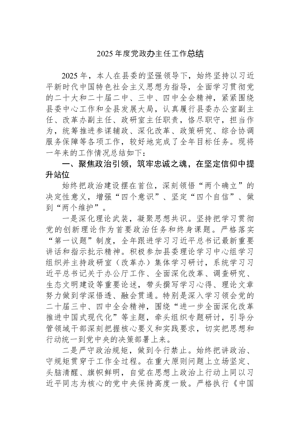 2025年度党政办主任工作总结