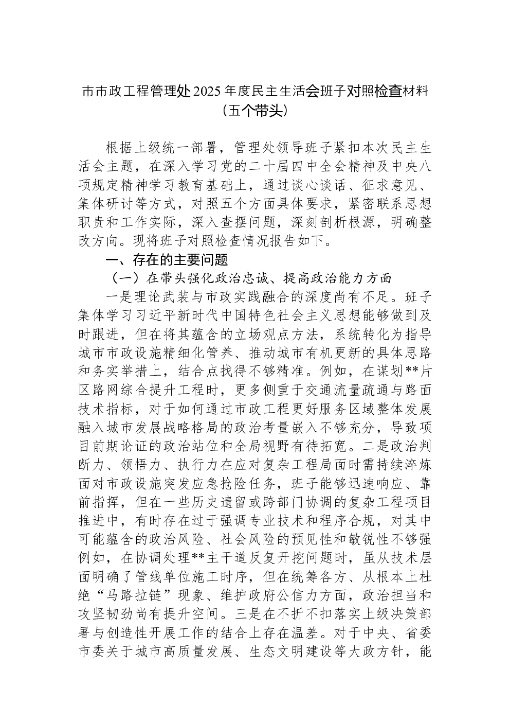 市市政工程管理处2025年度民主生活会班子对照检查材料（五个带头）