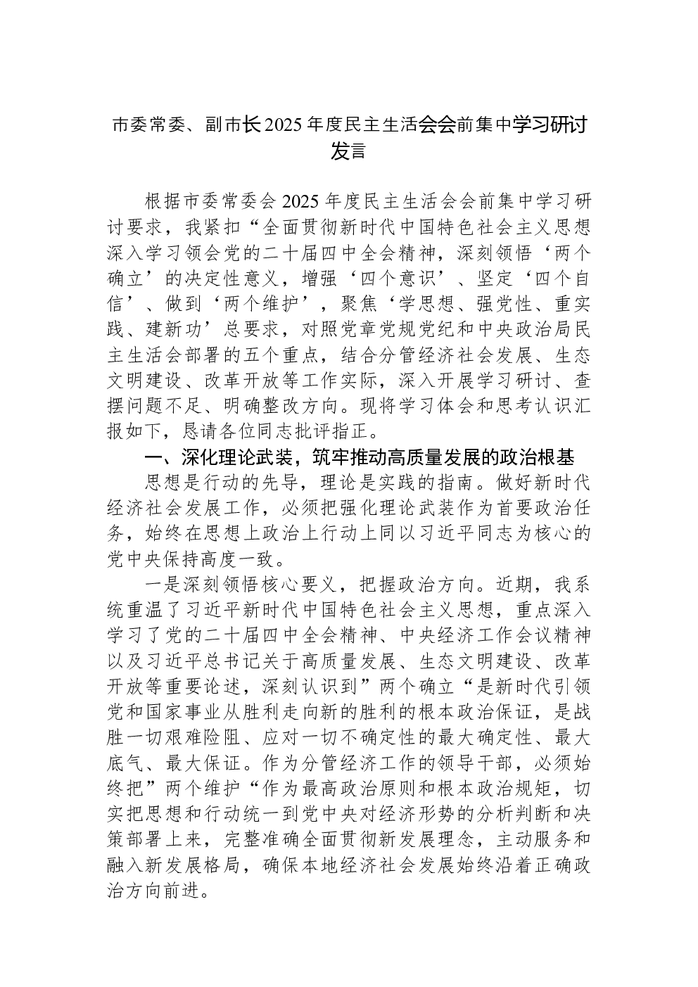 市委常委、副市长2025年度民主生活会会前集中学习研讨发言